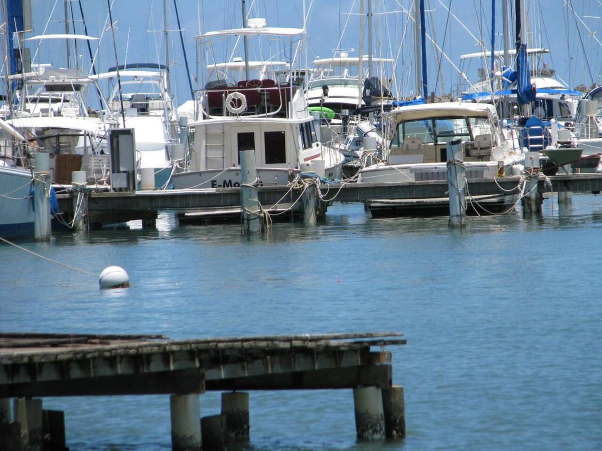 Waterfront Studio At Fajardo, Puerto Rico Eksteriør bilde